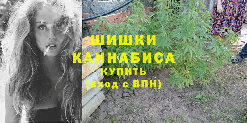 Каннабис индика  Ковылкино 